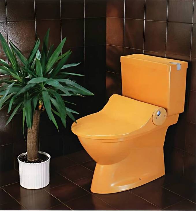 The Geberella toilet pictured in 1978