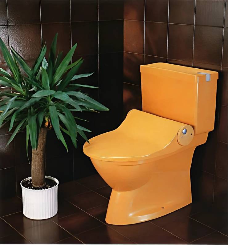 The Geberella toilet pictured in 1978