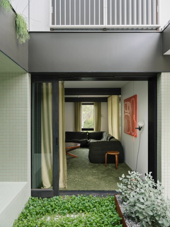 Planted courtyard