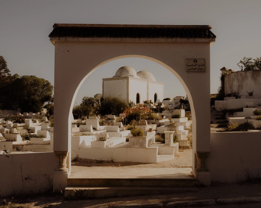 Bohemian village of Sidi Bou Saïd