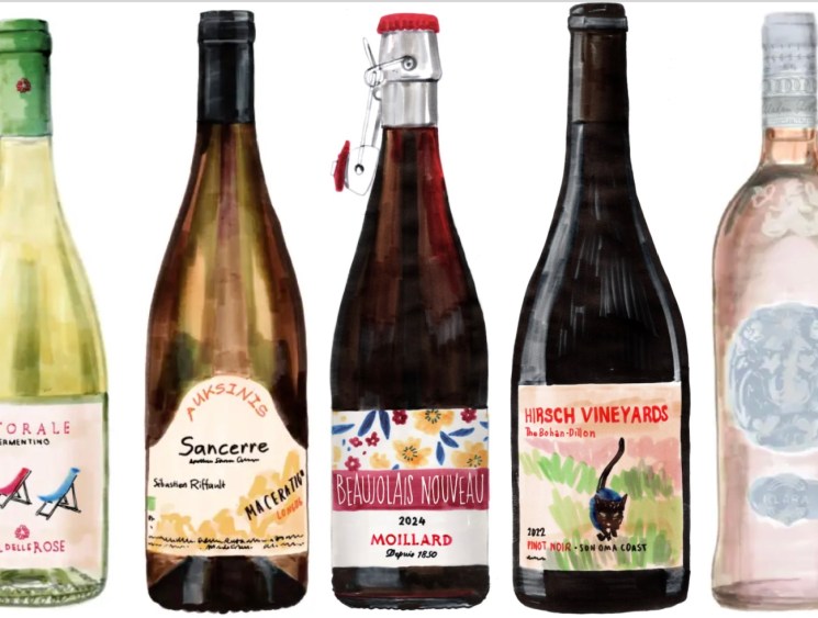 best wine recommendations