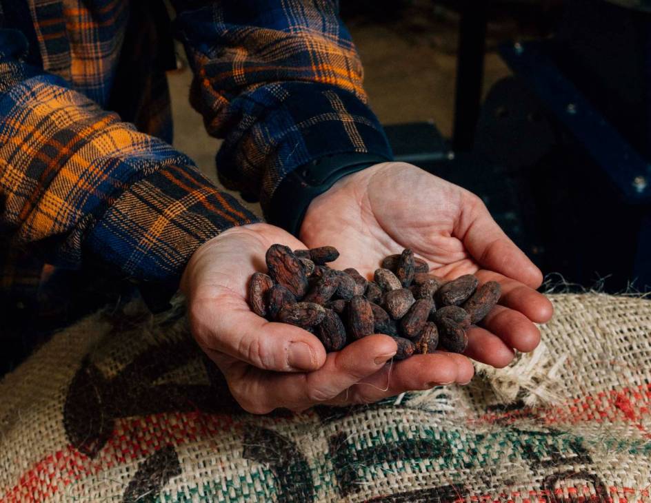 Cacao beans