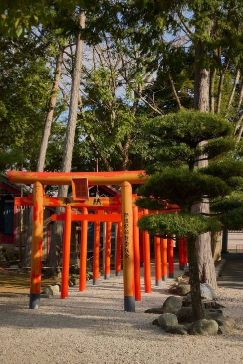 An image of red Torii gates.