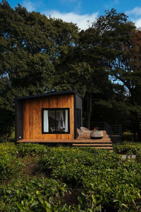 'Tea-pods' at Gathoni Park Farm