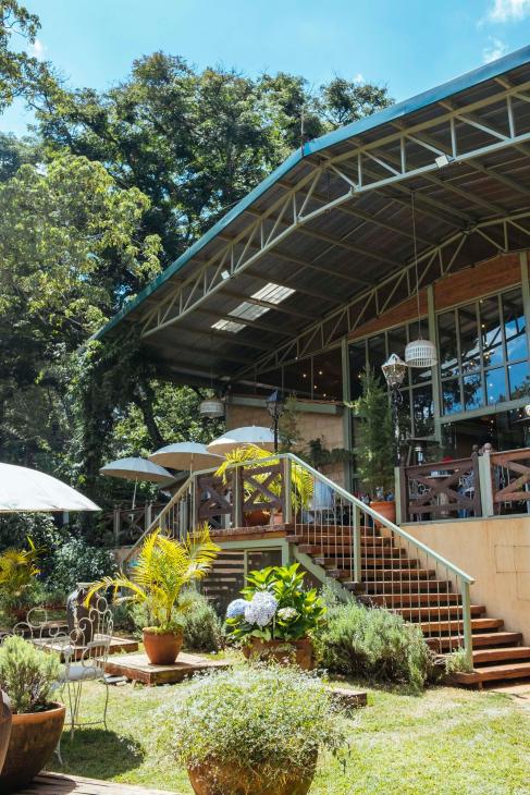 Garden of  The Fig and Olive, Kenya