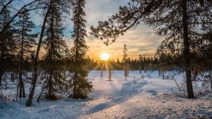 Looking ahead to 2017