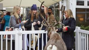 Live at the Monocle Christmas Market