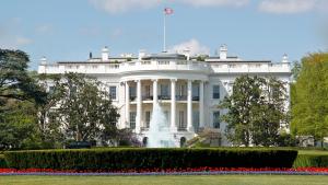 How to write about politics