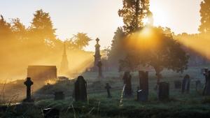What makes a good scary story?