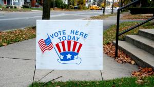 US election special: Polling