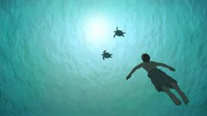 ‘The Red Turtle’