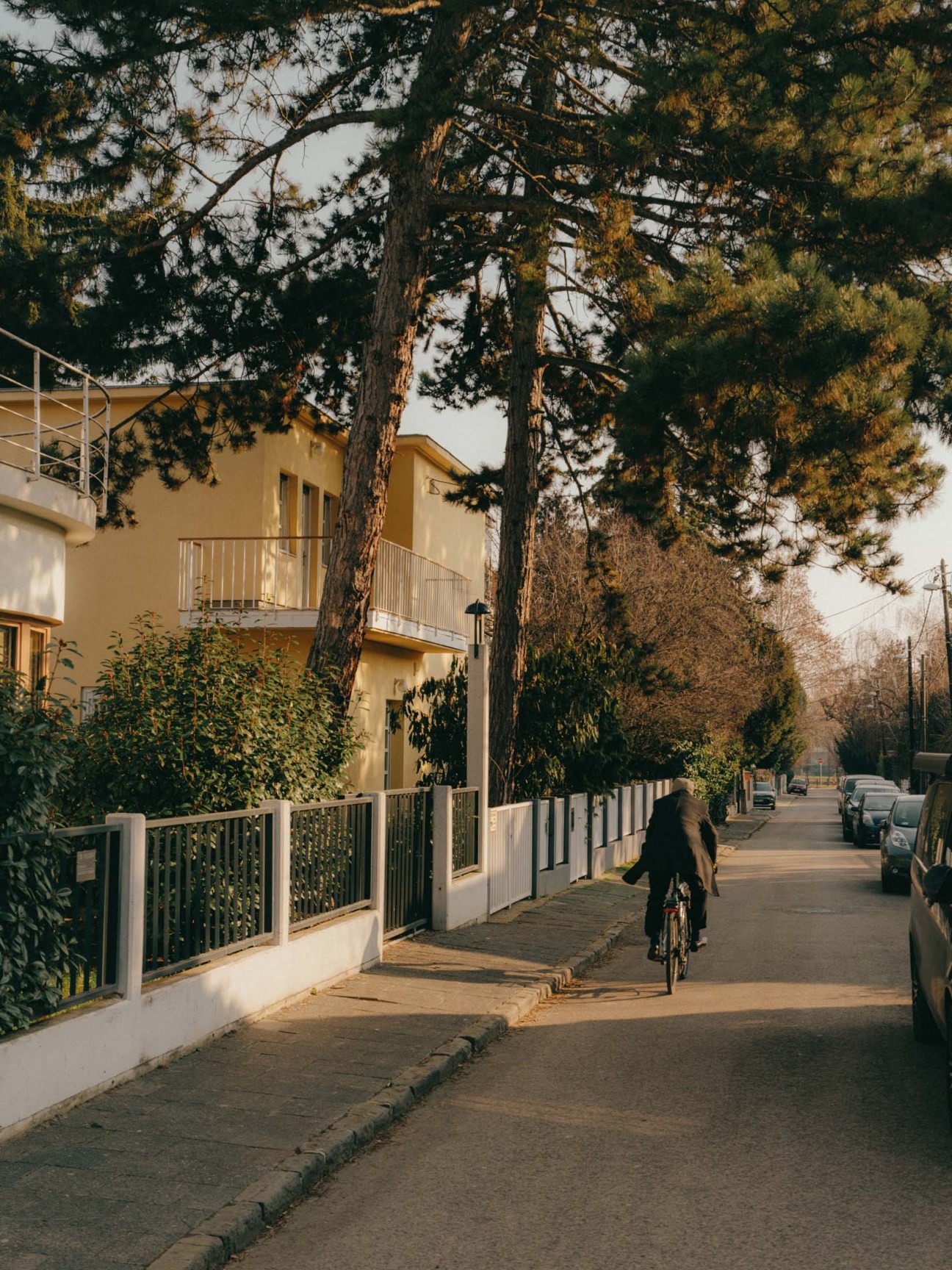 Man cycling in Budapest