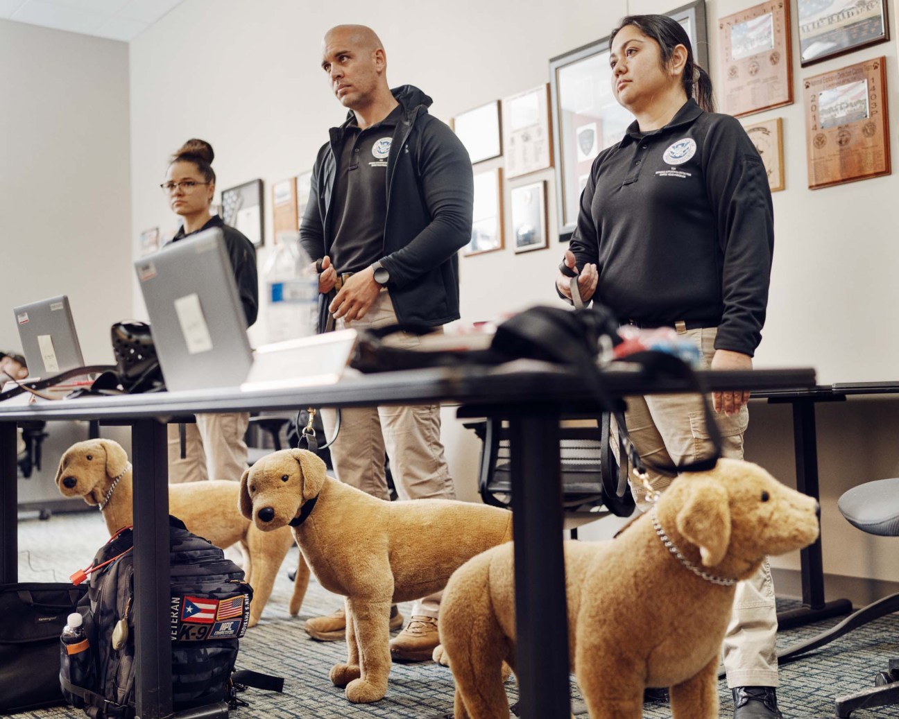Airport staff training with toy dogs