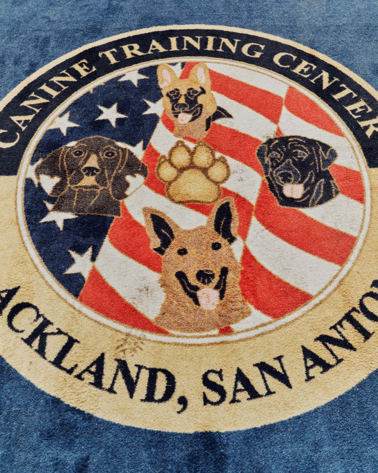 Canine training centre