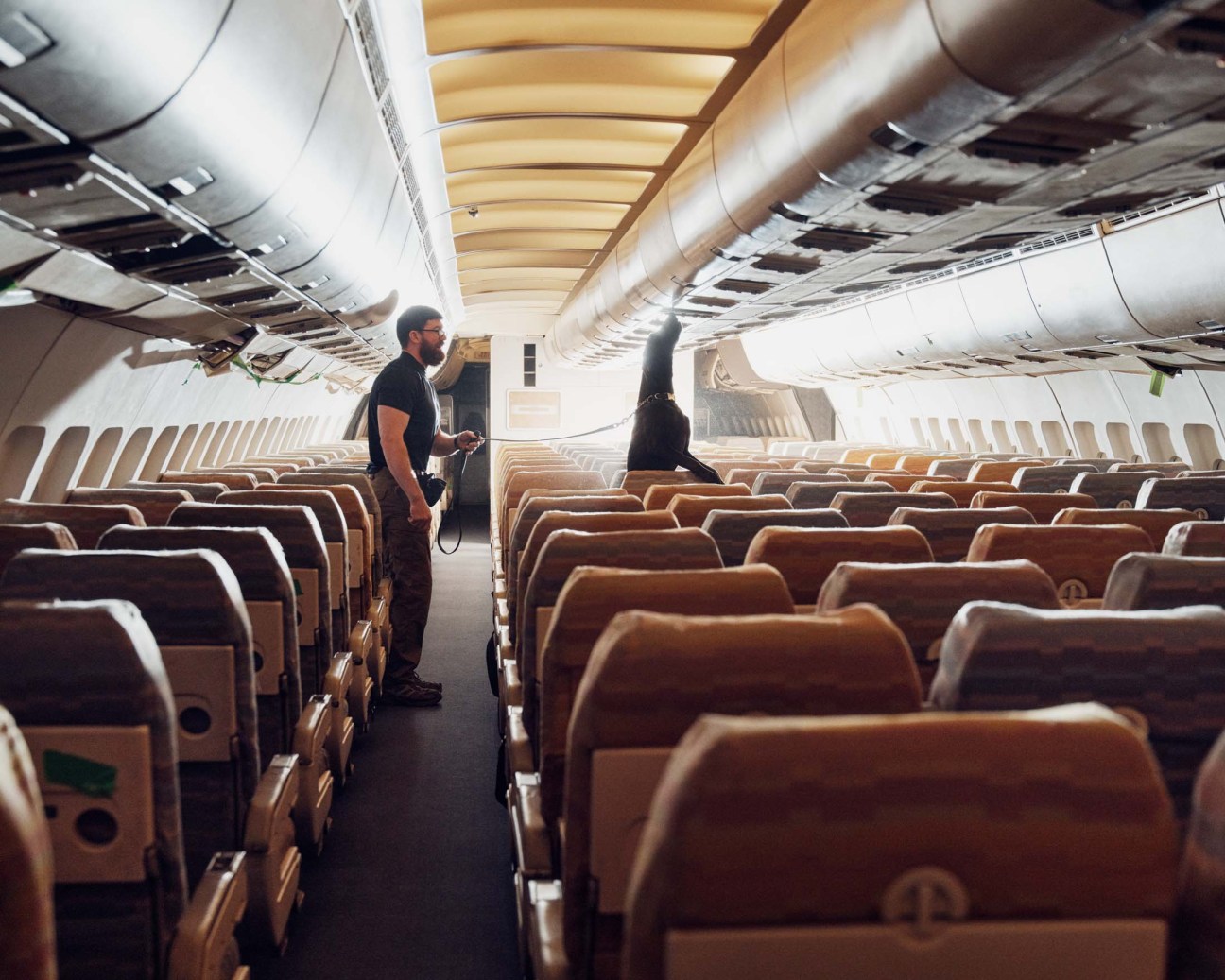 Dog training in plane
