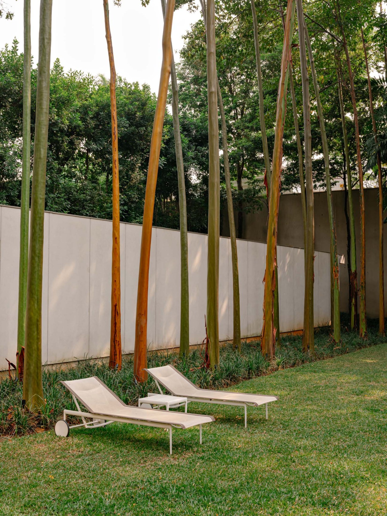A place to relax in a garden
