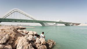 Autocracies and architecture