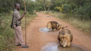 Zed Nelson’s ‘The Anthropocene Illusion’