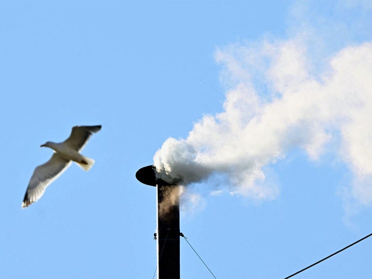 White smoke at Vatican