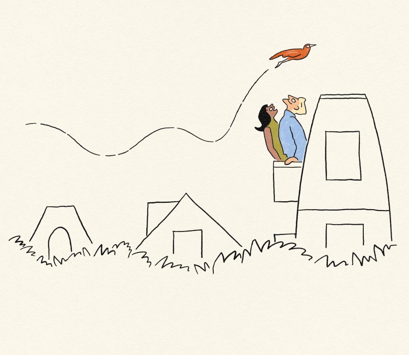 illustration of a bird flying over a house