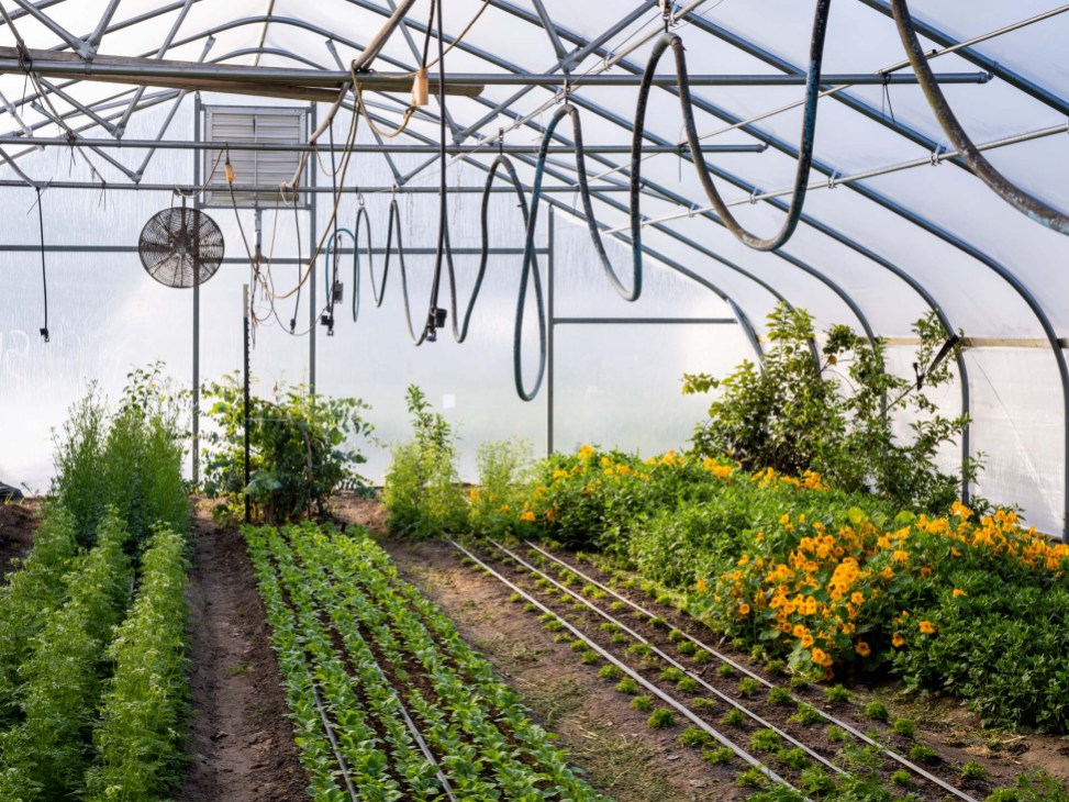 Evan Chender’s farm