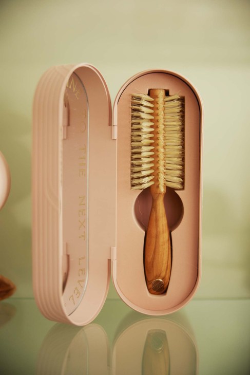 Styling and shine brush