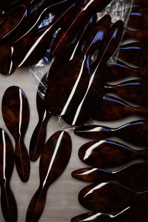 Tortoiseshell brushes