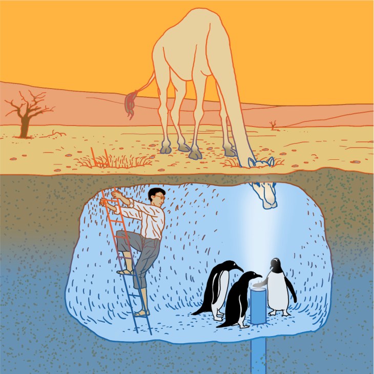 Illustration of camel and penguins with man climbing a ladder