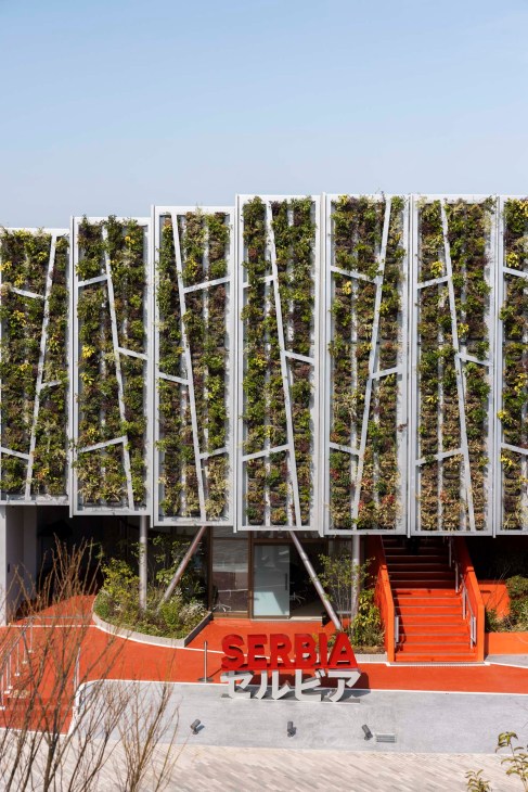 Serbia’s “floating forest”
