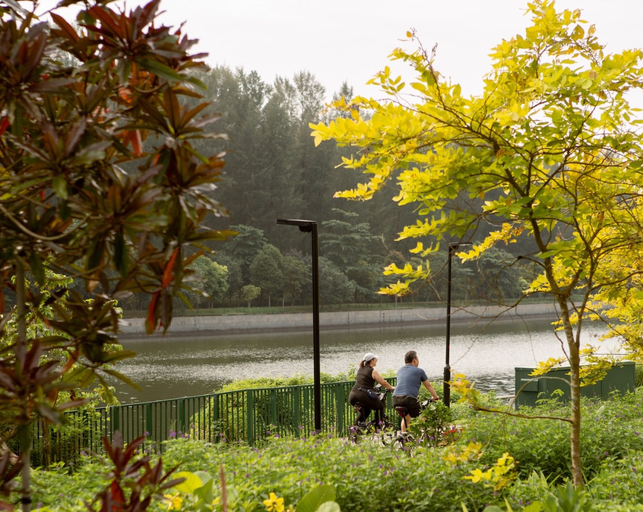 Punggol Digital District's waterfront promenade overlooking Coney Island Park