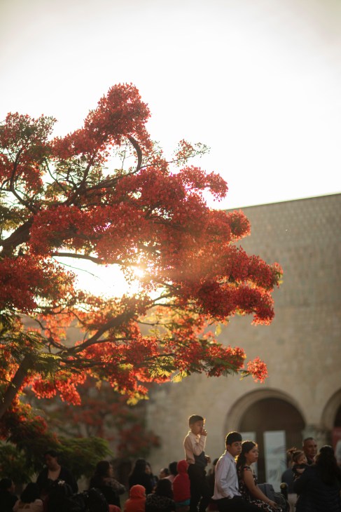 Public spaces in Oaxaca City