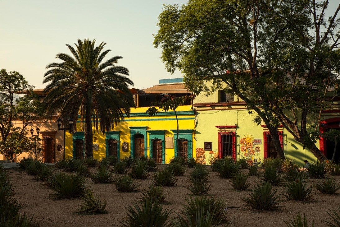 Streets in Oaxaca City