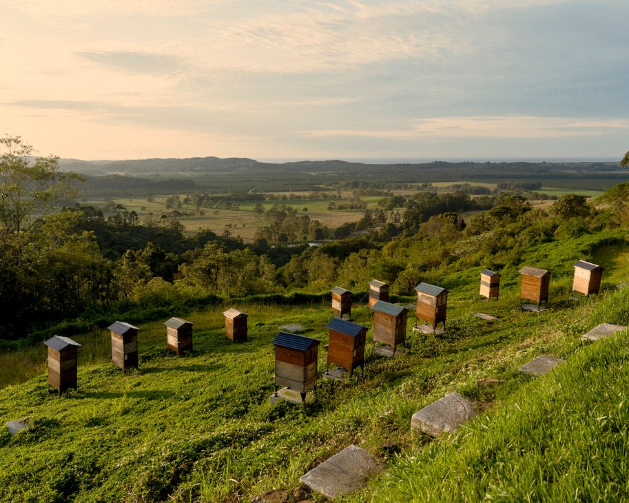 Flow Hive in Byron Bay
