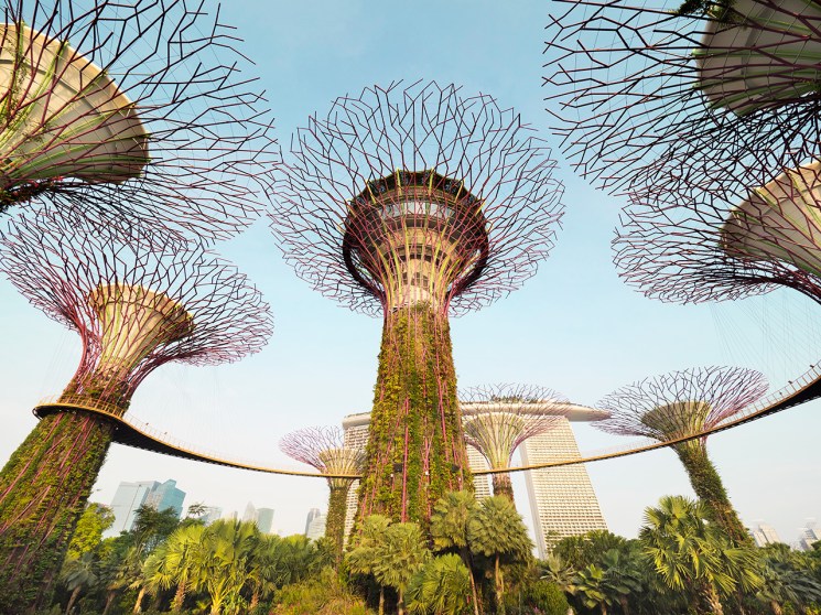 What we gain and lose with the rise of sky gardens