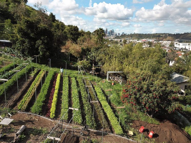 Urban regeneration can save our cities – all it takes is fresh perspective