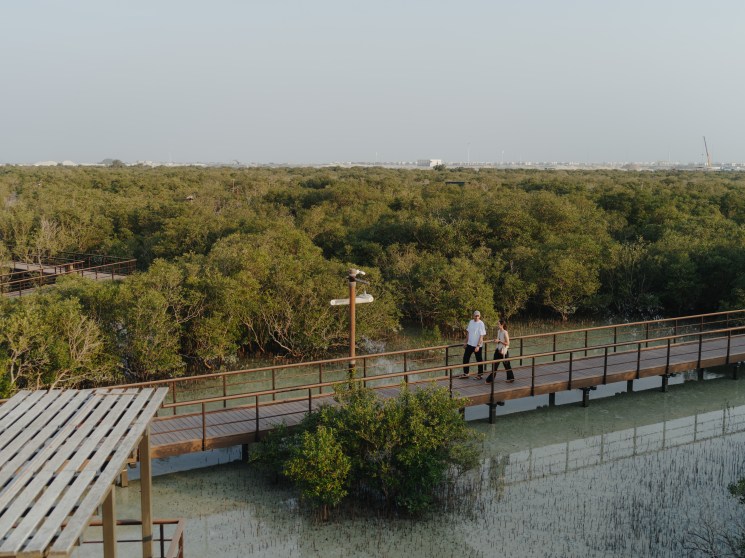 Jubail Mangrove park