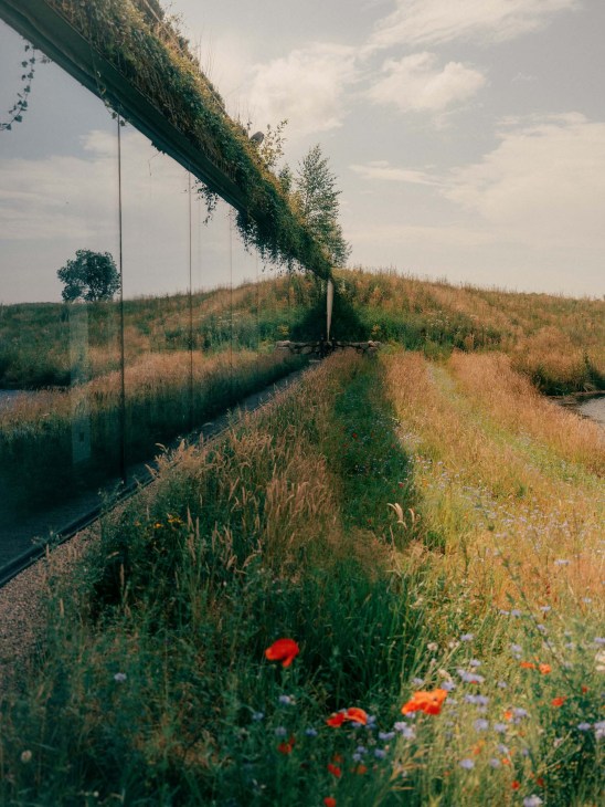 Nature surrounding Ästad Vingård