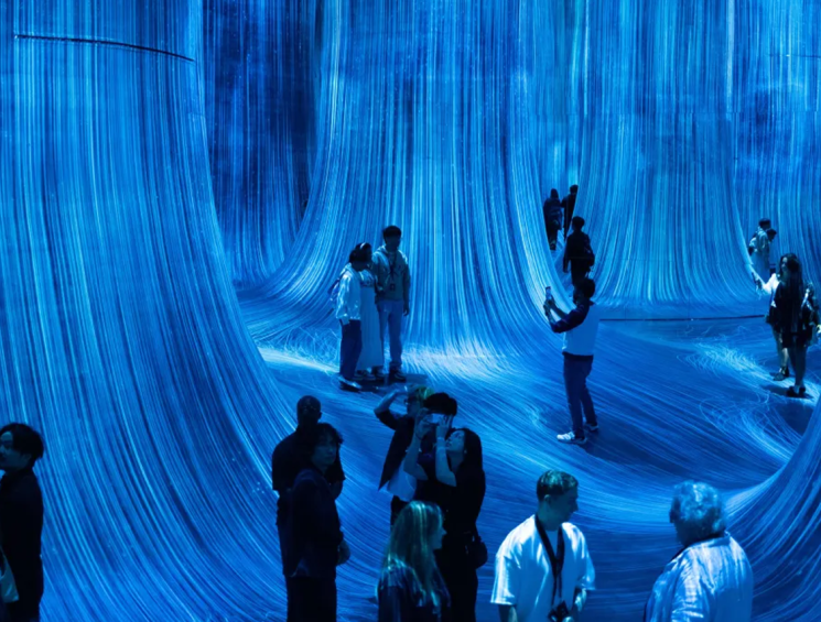 teamLab Phenomena Abu Dhabi