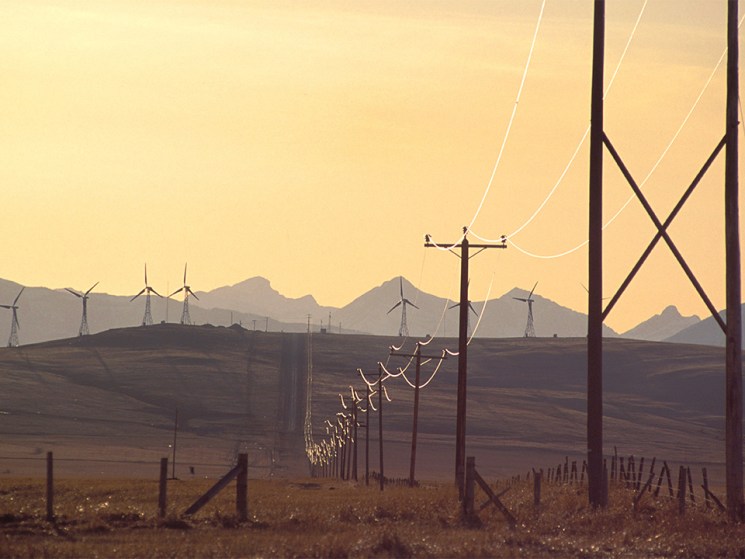 Transformational innovation opportunities: AI, electrification and longevity 