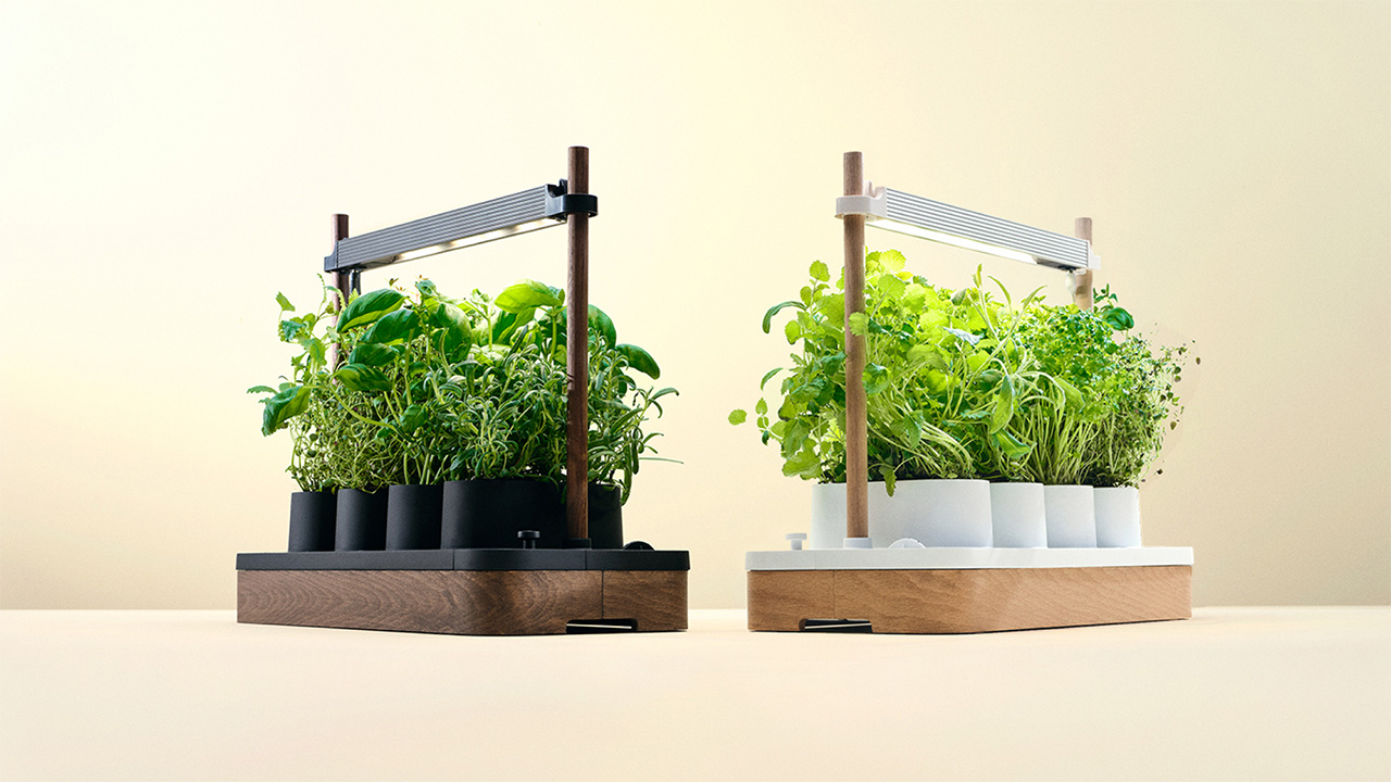 Eureka: No sun needed! How to grow fresh greens year-round 