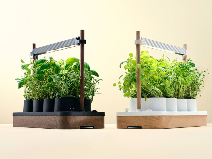 Eureka: No sun needed! How to grow fresh greens year-round 