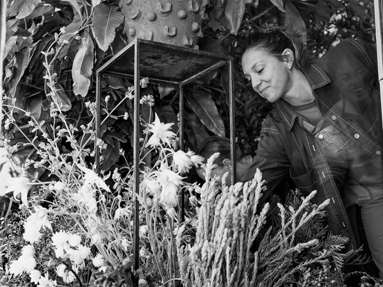 A toast to Australian botanicals: Papa Salt and Bess Paddington 