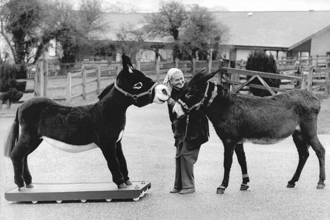 Doing the donkey work: Animal welfare campaigner Elisabeth Svendsen with Blackie