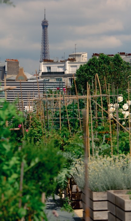 Nature Urbain gardens Paris