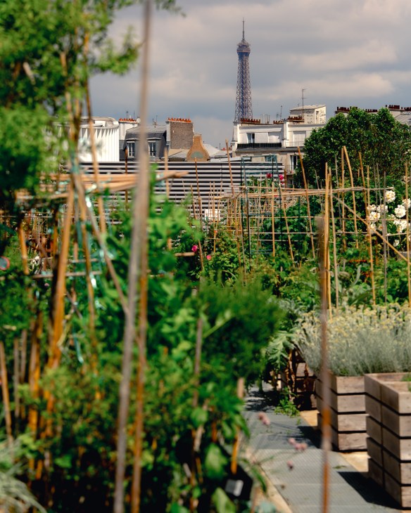 Nature Urbain gardens Paris