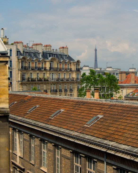 Paris rooftop greenery