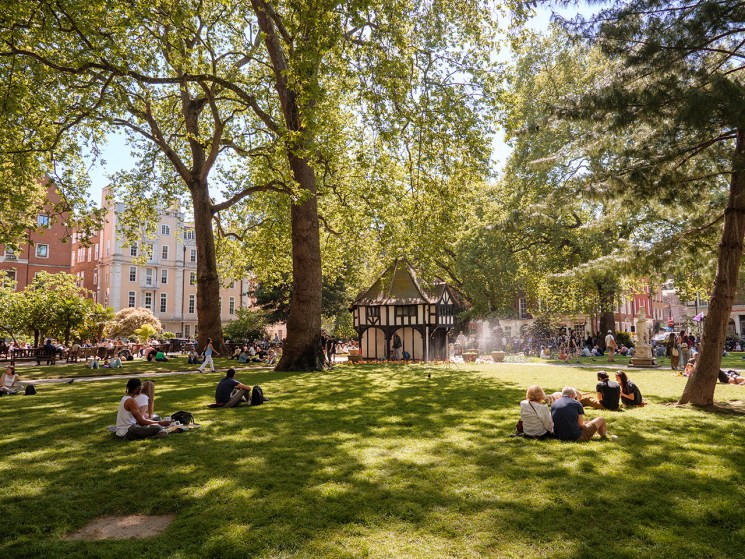 Throwing shade: The dark secret of cities that know how to stay cool