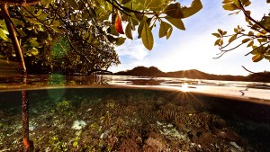 Towards a sustainable ocean economy: Part II