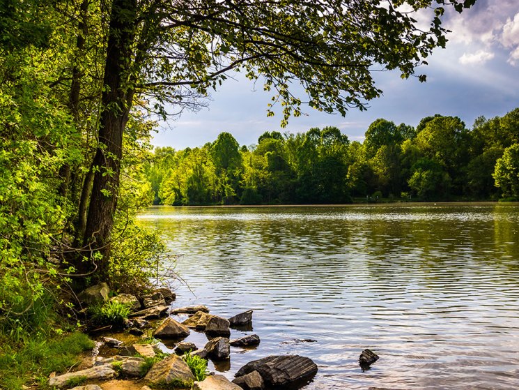 Want to find utopia? Try Columbia, Maryland