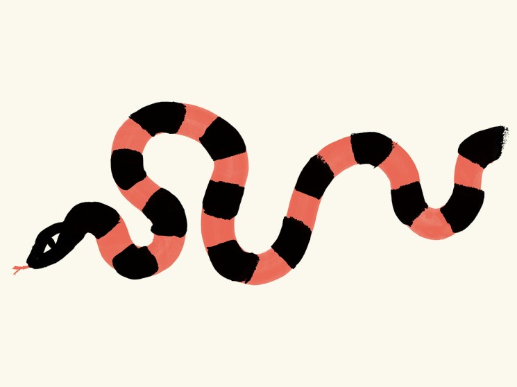 From counterfeit goods to sand mafias: the modern underworld explained